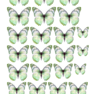 green wafer butterfly edible image