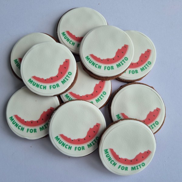 Mito Fundraising custom cookies C