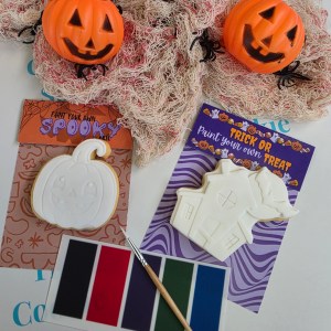 Individual halloween paint your own
